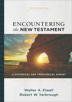 Encountering Biblical Studies